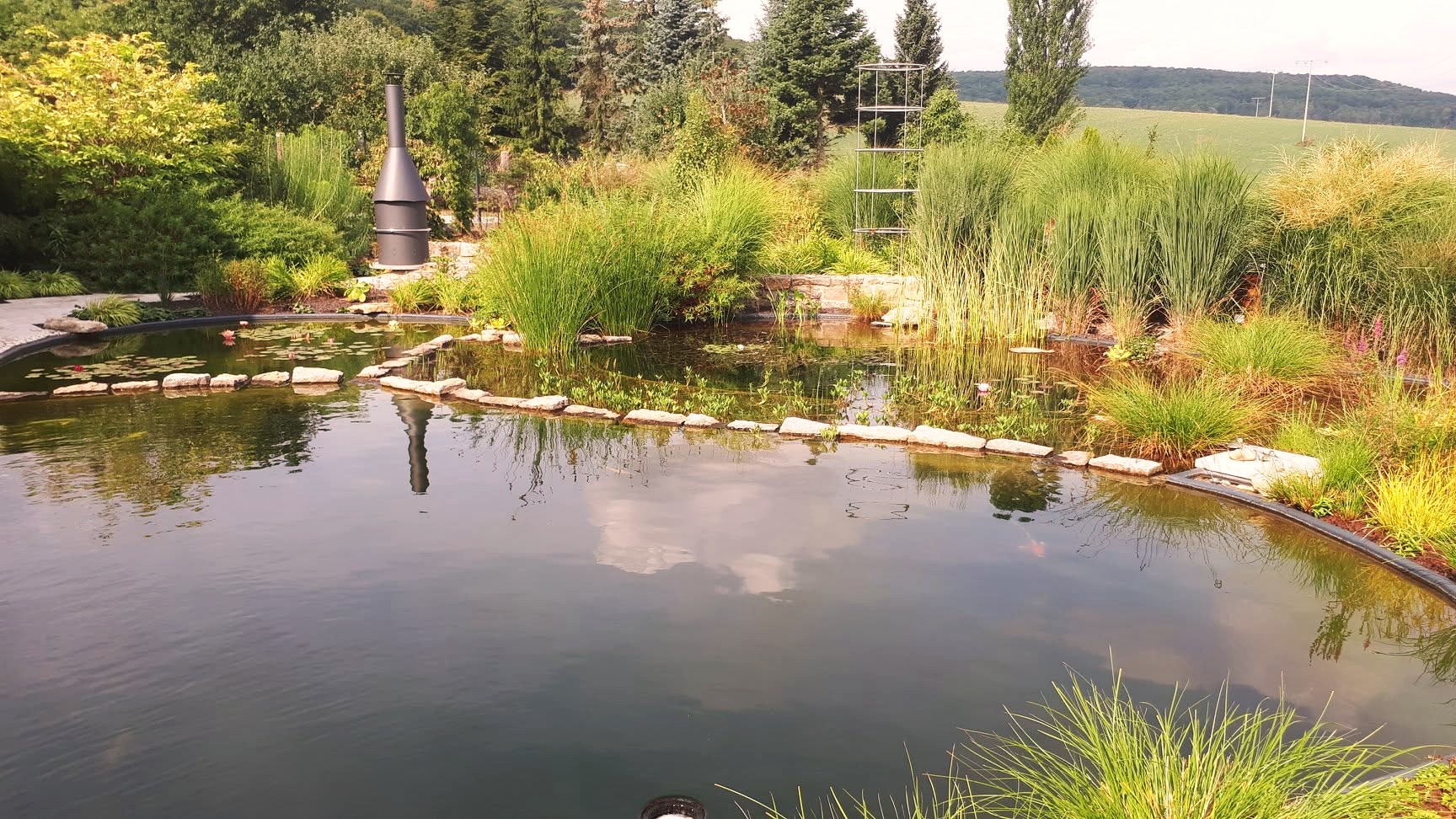 Teich- und Wasseranlagen – Wasserwelten mit Atmosphäre